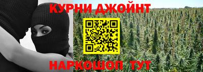 прущие грибы Первоуральск