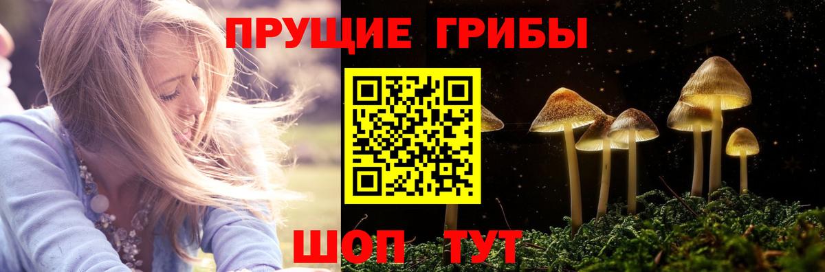 Галлюциногенные грибы ЛСД Томск