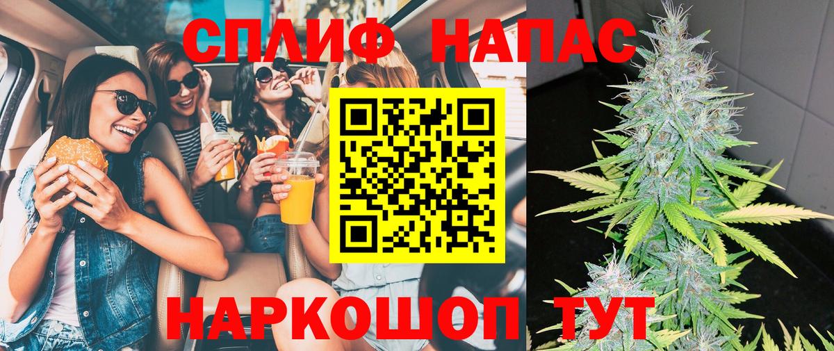 Канабис гибрид Томск